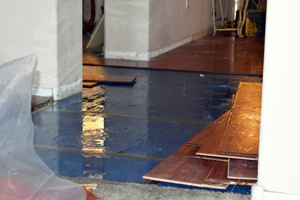 Professional Basement Flood Cleanup technician working in Boyden, IA